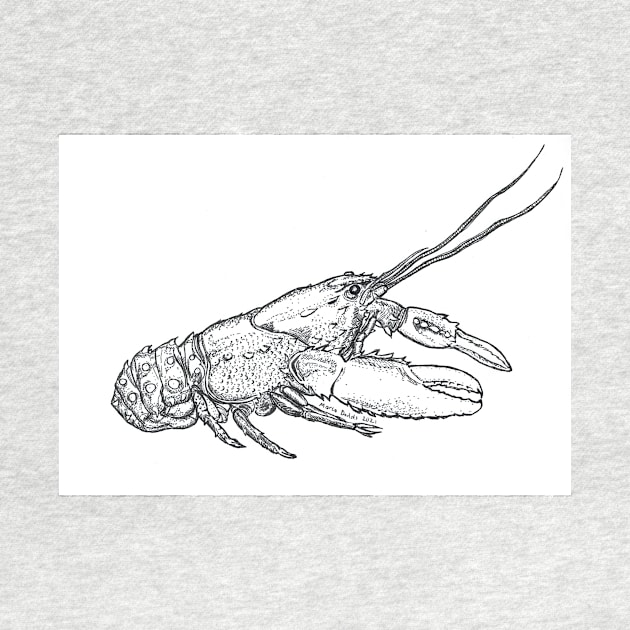 Crayfish by NutsnGum